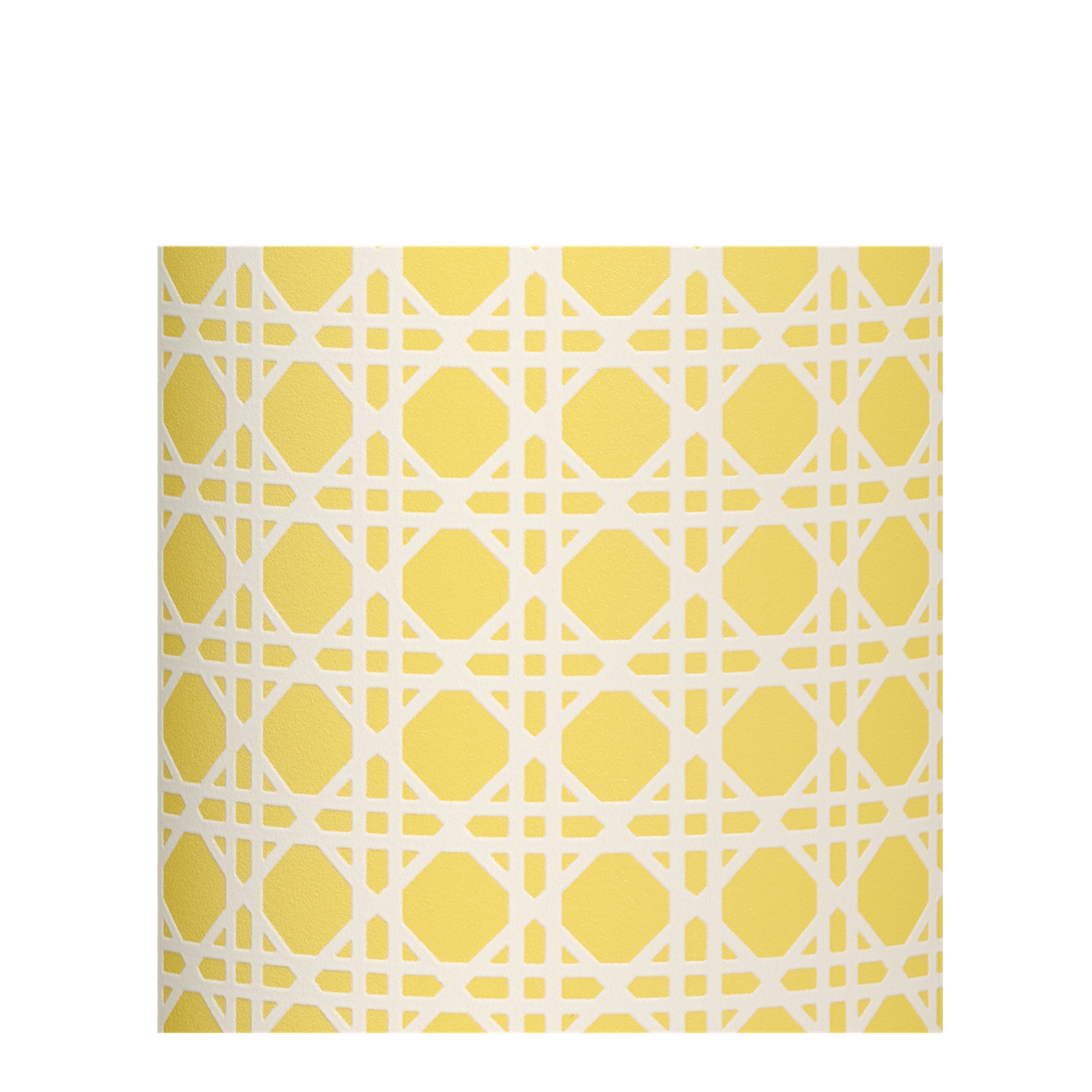 THE EVERYDAY TUMBLER